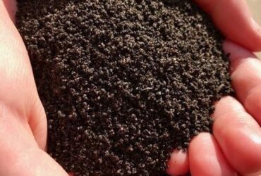 Sheeps/goats/cow manure