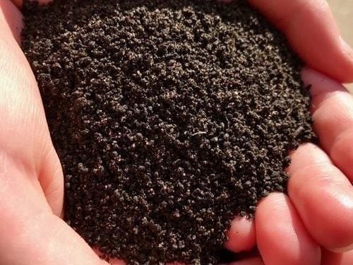 Vermicompost – Vikash Kumar